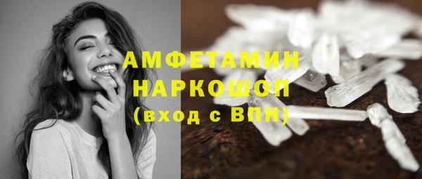 шишки Арсеньев