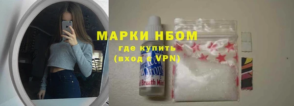 шишки Арсеньев