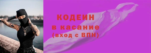 шишки Арсеньев