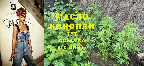 шишки Арсеньев