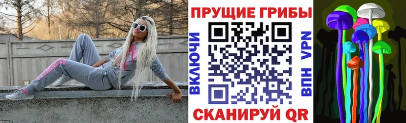 Галлюциногенные грибы мицелий  Валдай 